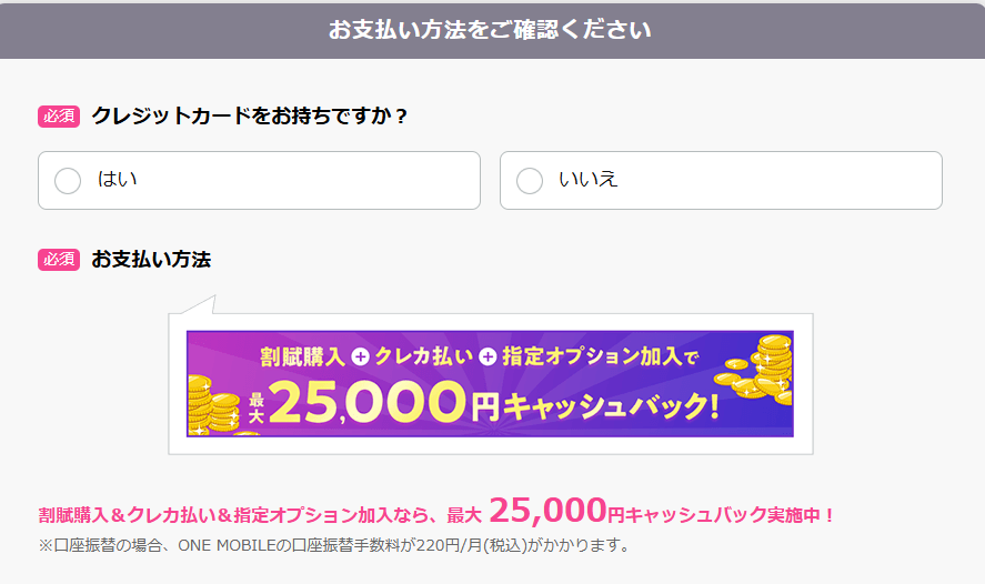 WiFi革命セット 支払い方法とプラン