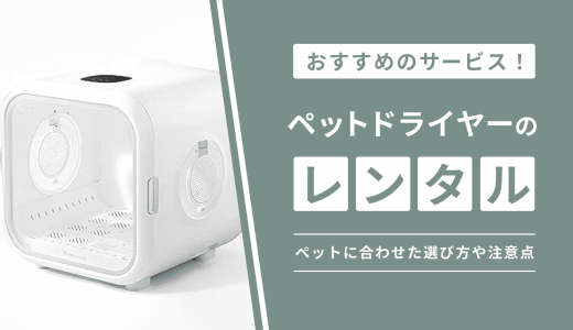 ペットドライヤーをレンタルやサブスクでお試しできるサービス5選！ペットに合わせた選び方や注意点も解説